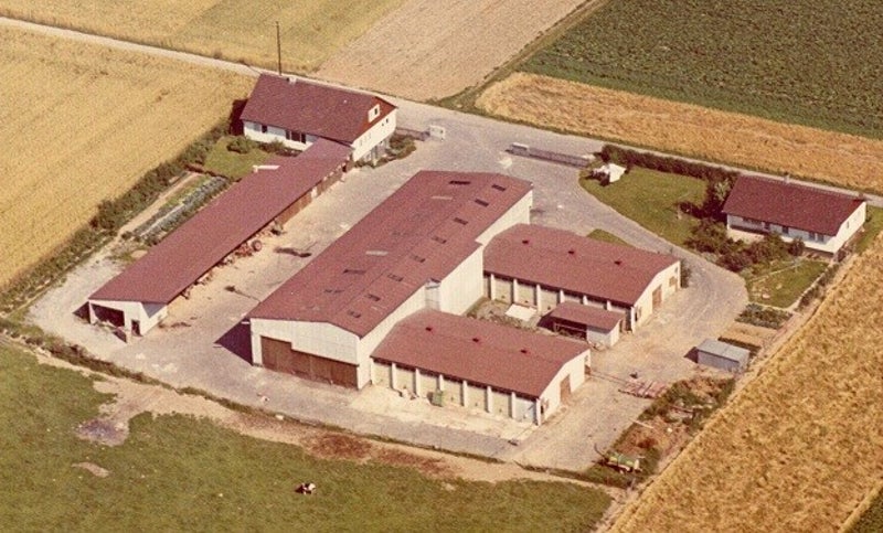 Der neue Hof im Feld